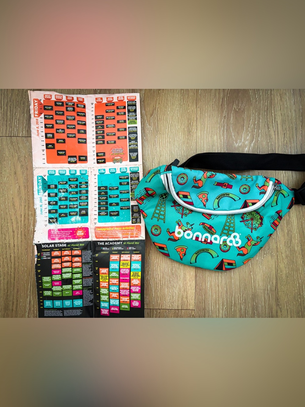 Bonnaroo 2018 Fanny Pack